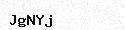 Visual Confirmation Security Code